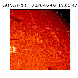 gong - 2026-02-02T15:00:42