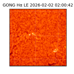 gong - 2026-02-02T02:00:42