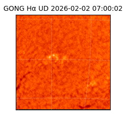 gong - 2026-02-02T07:00:02