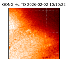 gong - 2026-02-02T10:10:22