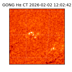 gong - 2026-02-02T12:02:42