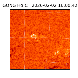 gong - 2026-02-02T16:00:42