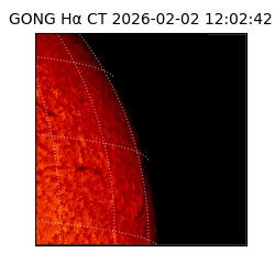 gong - 2026-02-02T12:02:42