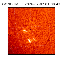 gong - 2026-02-02T01:00:42