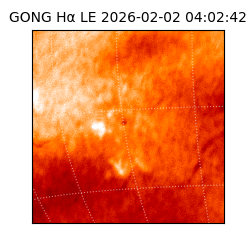 gong - 2026-02-02T04:02:42