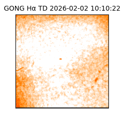 gong - 2026-02-02T10:10:22