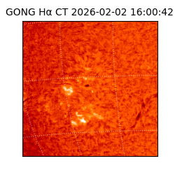 gong - 2026-02-02T16:00:42