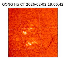 gong - 2026-02-02T19:00:42
