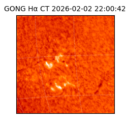gong - 2026-02-02T22:00:42