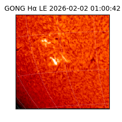 gong - 2026-02-02T01:00:42