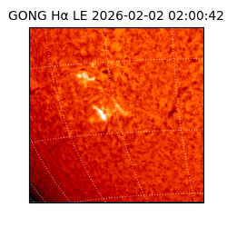gong - 2026-02-02T02:00:42
