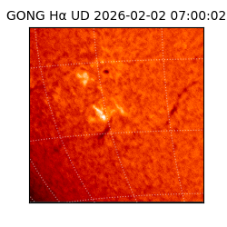 gong - 2026-02-02T07:00:02