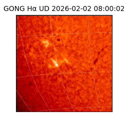 gong - 2026-02-02T08:00:02