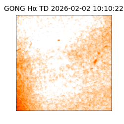 gong - 2026-02-02T10:10:22