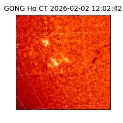 gong - 2026-02-02T12:02:42