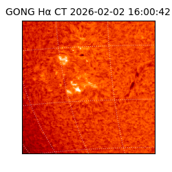 gong - 2026-02-02T16:00:42
