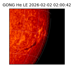 gong - 2026-02-02T02:00:42