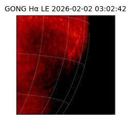 gong - 2026-02-02T03:02:42