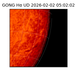 gong - 2026-02-02T05:02:02