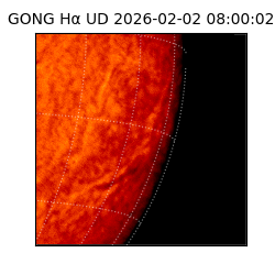 gong - 2026-02-02T08:00:02