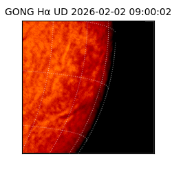 gong - 2026-02-02T09:00:02