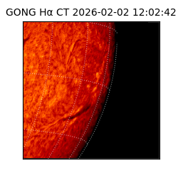 gong - 2026-02-02T12:02:42