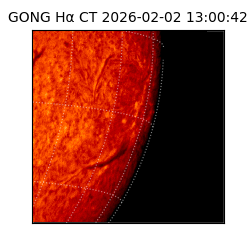 gong - 2026-02-02T13:00:42
