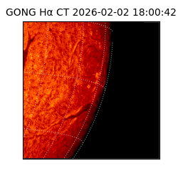 gong - 2026-02-02T18:00:42