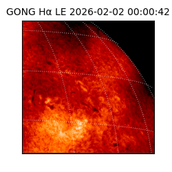 gong - 2026-02-02T00:00:42