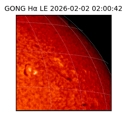 gong - 2026-02-02T02:00:42