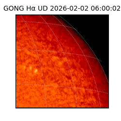 gong - 2026-02-02T06:00:02
