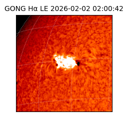 gong - 2026-02-02T02:00:42