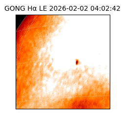 gong - 2026-02-02T04:02:42