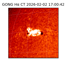 gong - 2026-02-02T17:00:42