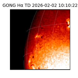 gong - 2026-02-02T10:10:22