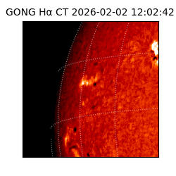 gong - 2026-02-02T12:02:42