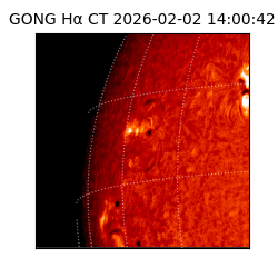 gong - 2026-02-02T14:00:42