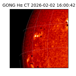 gong - 2026-02-02T16:00:42