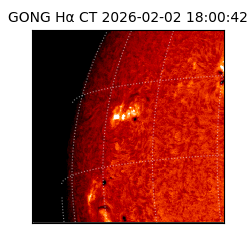 gong - 2026-02-02T18:00:42