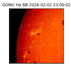 gong - 2026-02-02T23:00:02