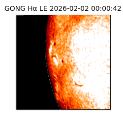 gong - 2026-02-02T00:00:42