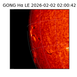 gong - 2026-02-02T02:00:42