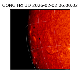 gong - 2026-02-02T06:00:02