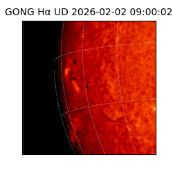 gong - 2026-02-02T09:00:02