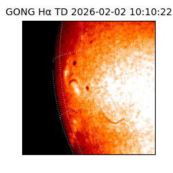 gong - 2026-02-02T10:10:22