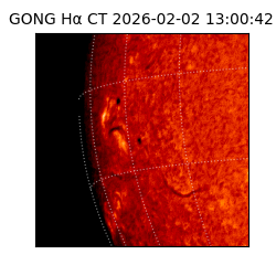 gong - 2026-02-02T13:00:42