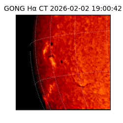gong - 2026-02-02T19:00:42