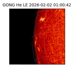 gong - 2026-02-02T01:00:42