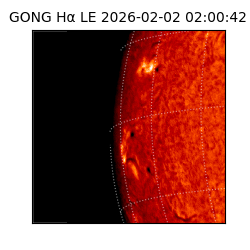 gong - 2026-02-02T02:00:42