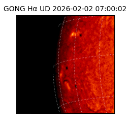 gong - 2026-02-02T07:00:02